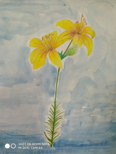 2021_03_18__16_16_47_3