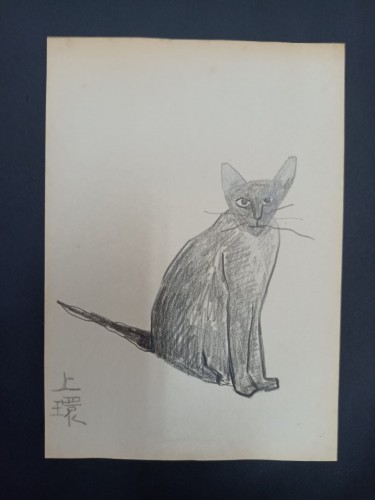 2022_06_29__19_54_08_8