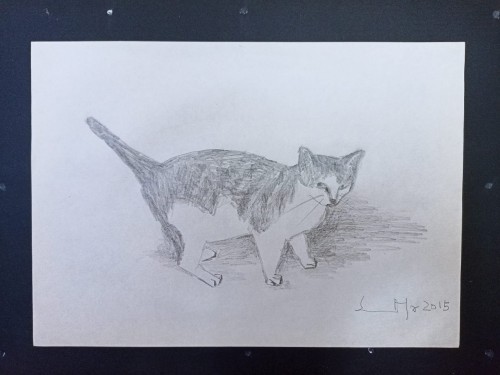 2022_06_29__19_54_08_5